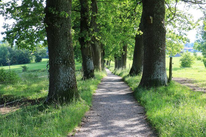 Dragon Slayer Way Beer Hike Food Experience Private Tour (departs Munich) - Why this Murnau day works for both walkers and beer fans