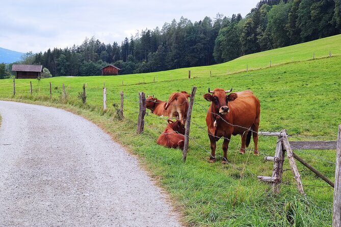 Dragon Slayer Way Beer Hike Food Experience Private Tour (departs Munich) - The Dragon’s Way hike: how the 6.5–7 km feels in real life