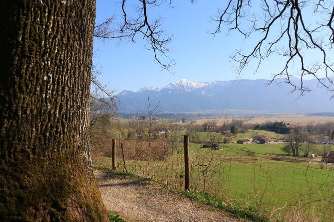 Dragon Slayer Way Beer Hike Food Experience Private Tour (departs Munich) - Getting started in Munich: the meeting point and transport rhythm