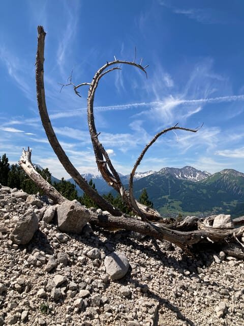 Ehrwald: Hiking Tour into breath taking Nature - Price and value: $81 for two hours in the Alps