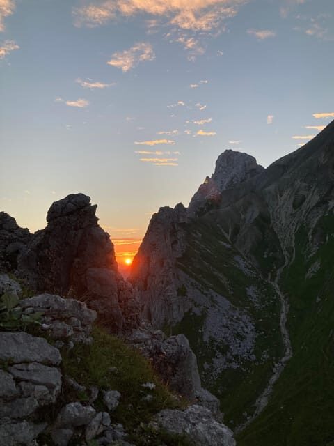 Ehrwald: Hiking Tour into breath taking Nature - Alpine flowers and wildlife: what you should look for