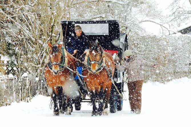 Horse Carriage Tour of Garmisch-Partenkirchen - One Hour in the Horse-Drawn Carriage: Blankets, Views, and Real Winter Pace
