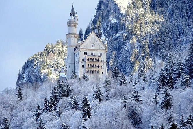 Mike's Neuschwanstein & Linderhof Private Tour from Munich - Stop 4: Plansee Lake—quick scenery break, and a potential swim