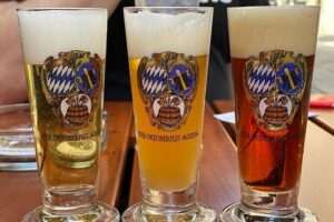 Munich Beer and Bavarian Bites Small-Group Tour - Marienplatz start: your first Bavarian tavern beer and snack rhythm