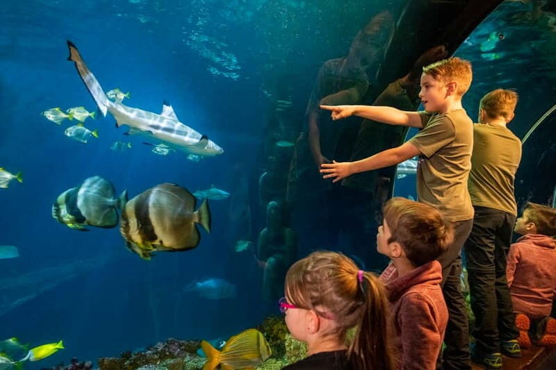 Munich: Day Ticket to Sea Life - Key highlights at Sea Life Munich