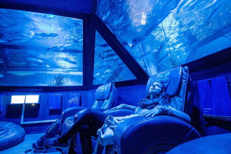 Munich: Day Ticket to Sea Life - Price and value: is $25 per person worth it?