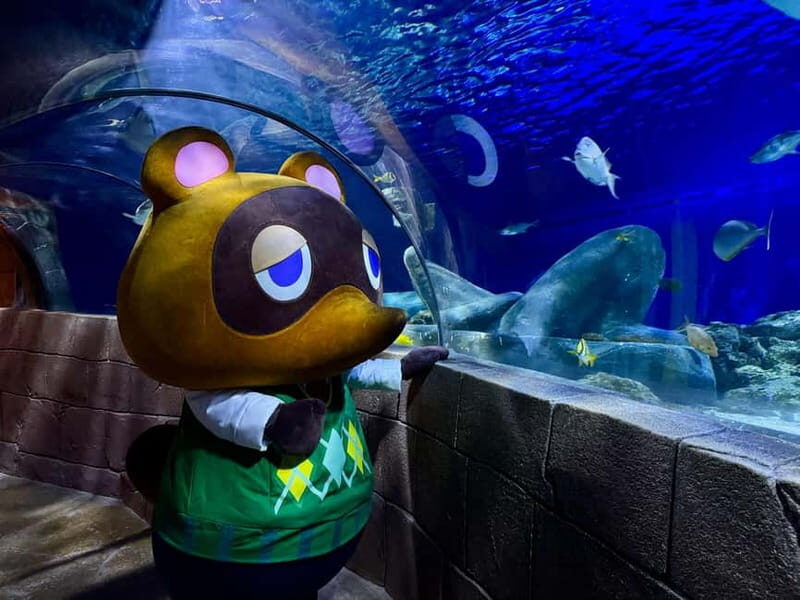 Munich: Day Ticket to Sea Life - From Isar River to the open ocean: the underwater journey you’ll follow