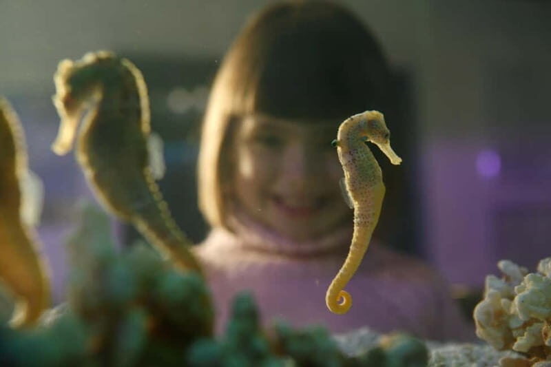 Munich: Day Ticket to Sea Life - Tropical Island details: insects, snails, and why the smaller tanks matter