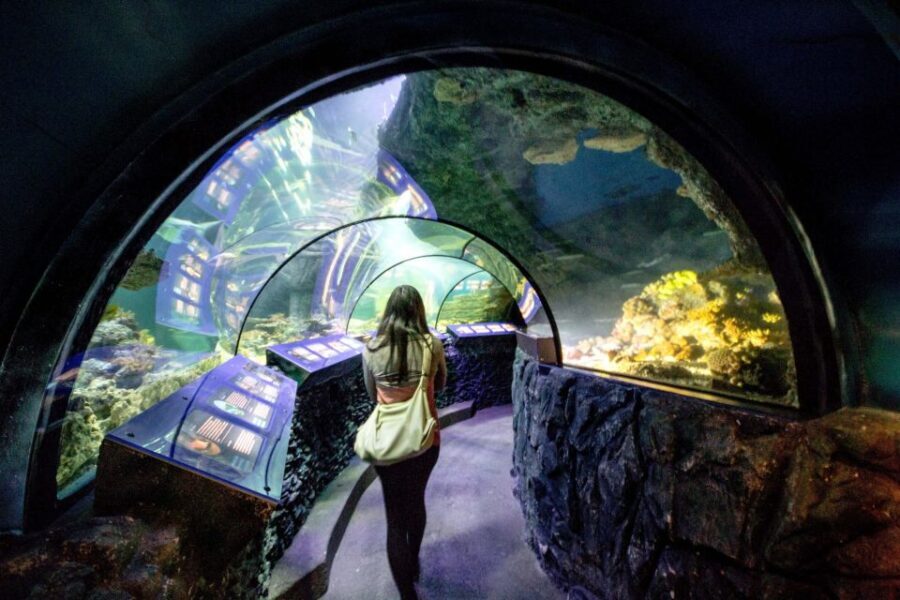 Munich: Day Ticket to Sea Life - Animal Crossing: New Horizons event (12 May to 29 June) with Tom Nook
