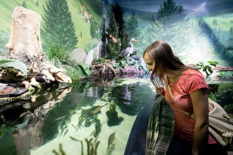 Munich: Day Ticket to Sea Life - What I’d do first: a smart pacing plan for a full one-day visit