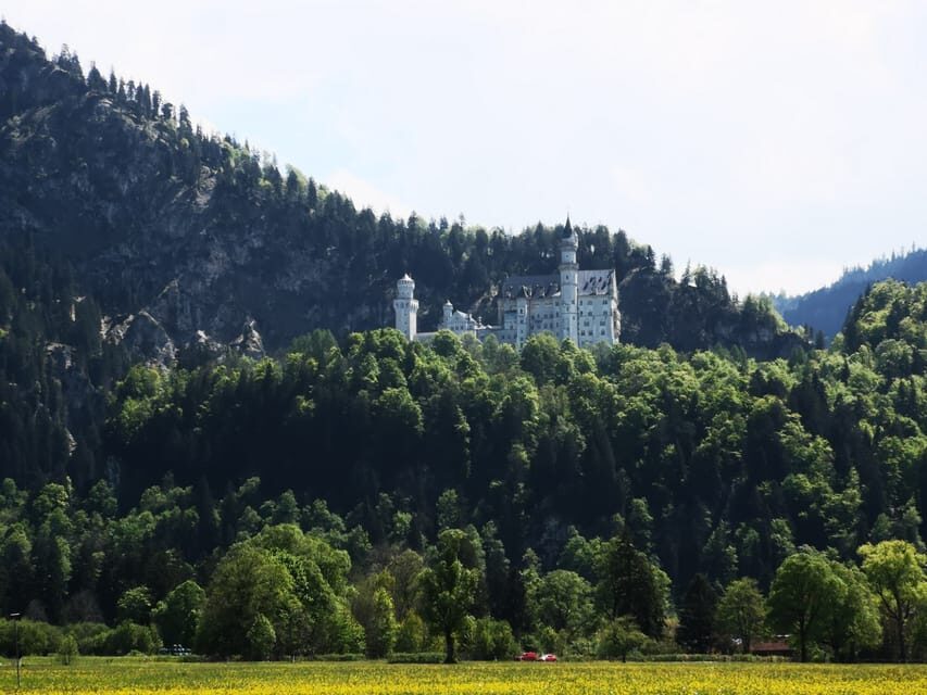 Munich: Neuschwanstein Castle by Bus with Alpine Bike Ride - The Neuschwanstein interior experience: skip-the-line, plus Ludwig’s story