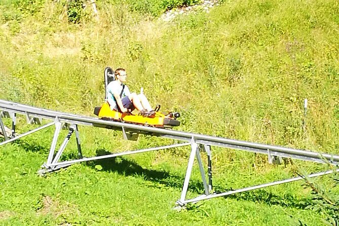 Munich private Car & Walking Tour incl. BMW World & River Surfers - Lunch by an Alpine Lake in Austria: The Portion That Sells the Day