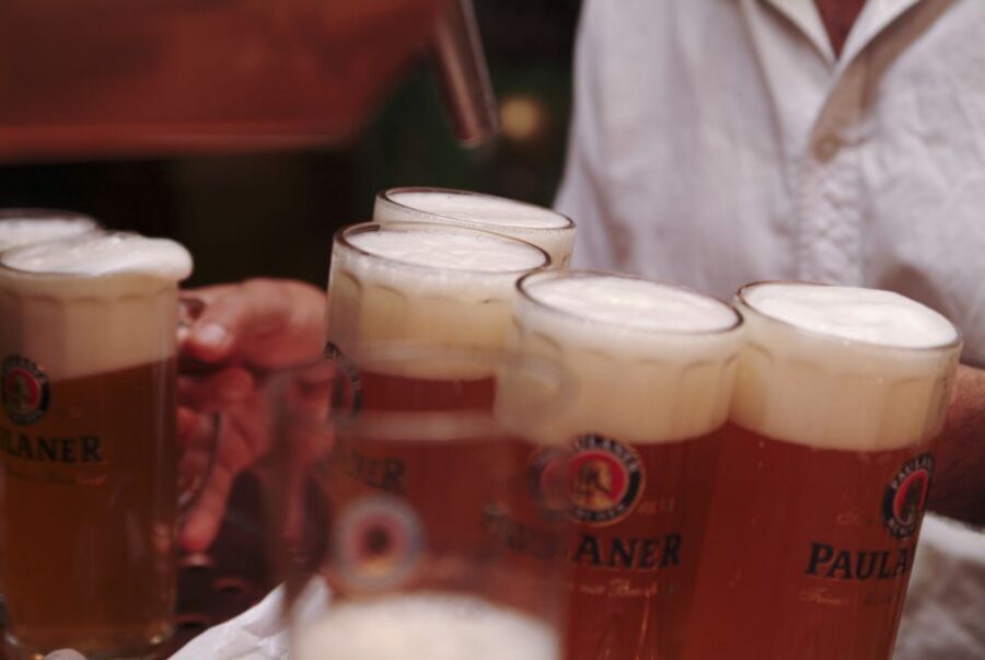 Munich's Beer Halls and Breweries: 3-Hour Guided Tour - Who This Tour Suits Best (and Who Should Skip It)