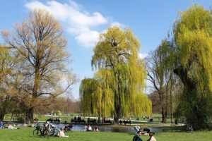 Munich's Highlights 3-hour Segway Tour - Bridges and the Isar: fast connections with scenic breaks