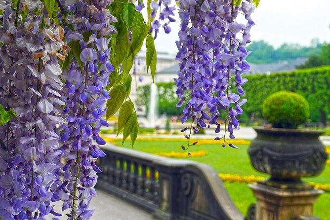 Private Transfer from Munich to Salzburg, English-speaking driver - Should you book this private transfer?