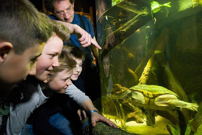 SEA LIFE Munich Admission Ticket - What Your Ticket Actually Buys You (and Why the Price Feels Uneven)