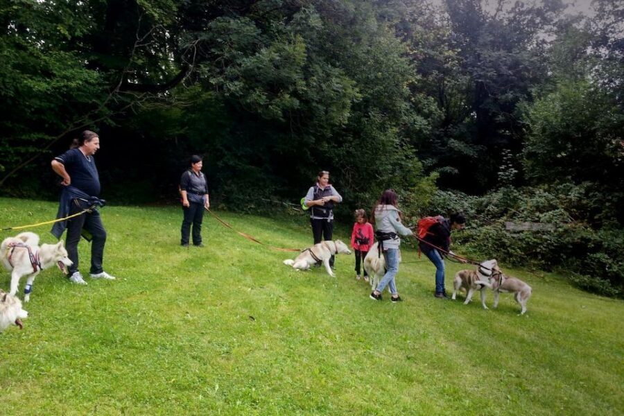 Unterallgäu: Wiedergeltingen Guided Hike with Huskies - Key highlights at a glance